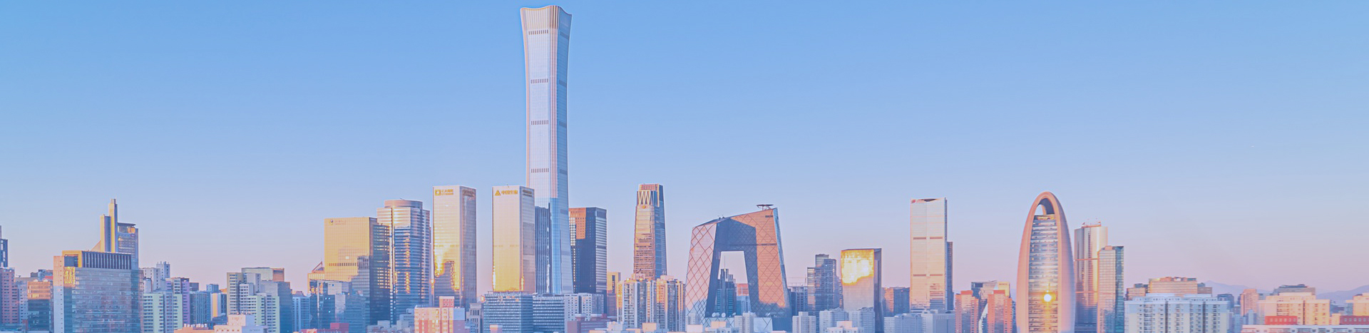 乐清市正信技术咨询有限公司/乐清市正信知识产权代理有限公司 